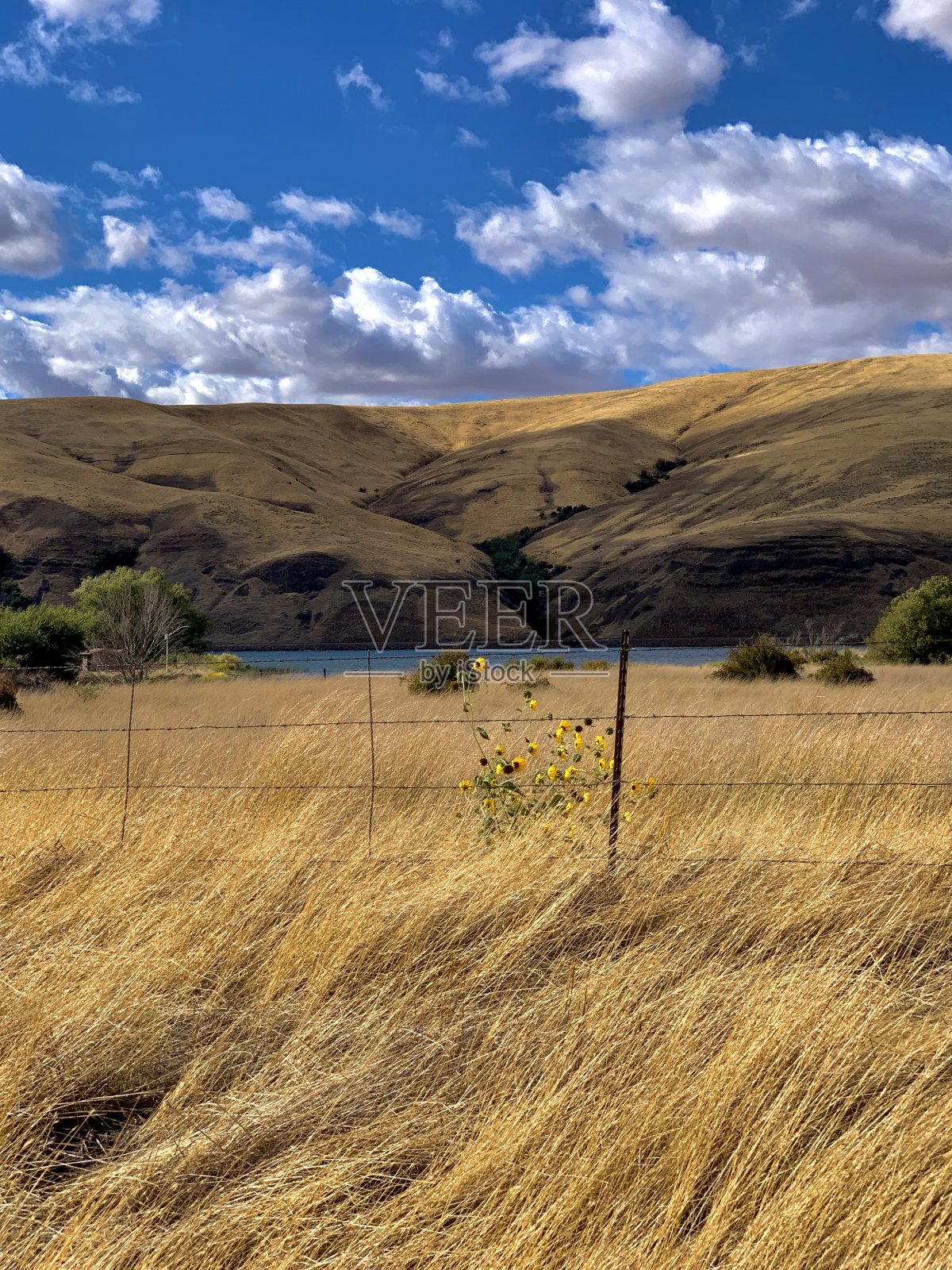 梦想之地照片摄影图片
