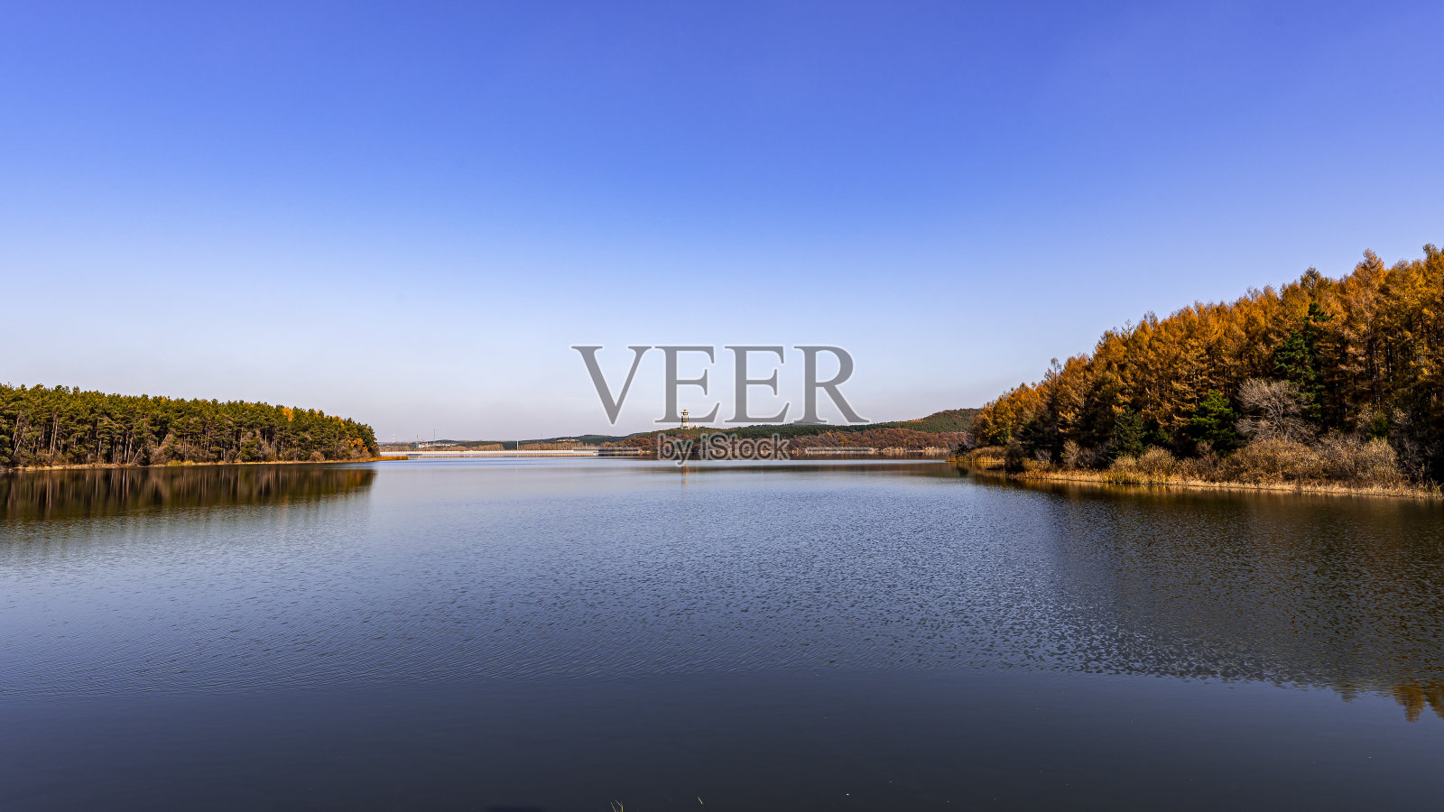 中国长春净月潭国家森林公园的秋景照片摄影图片