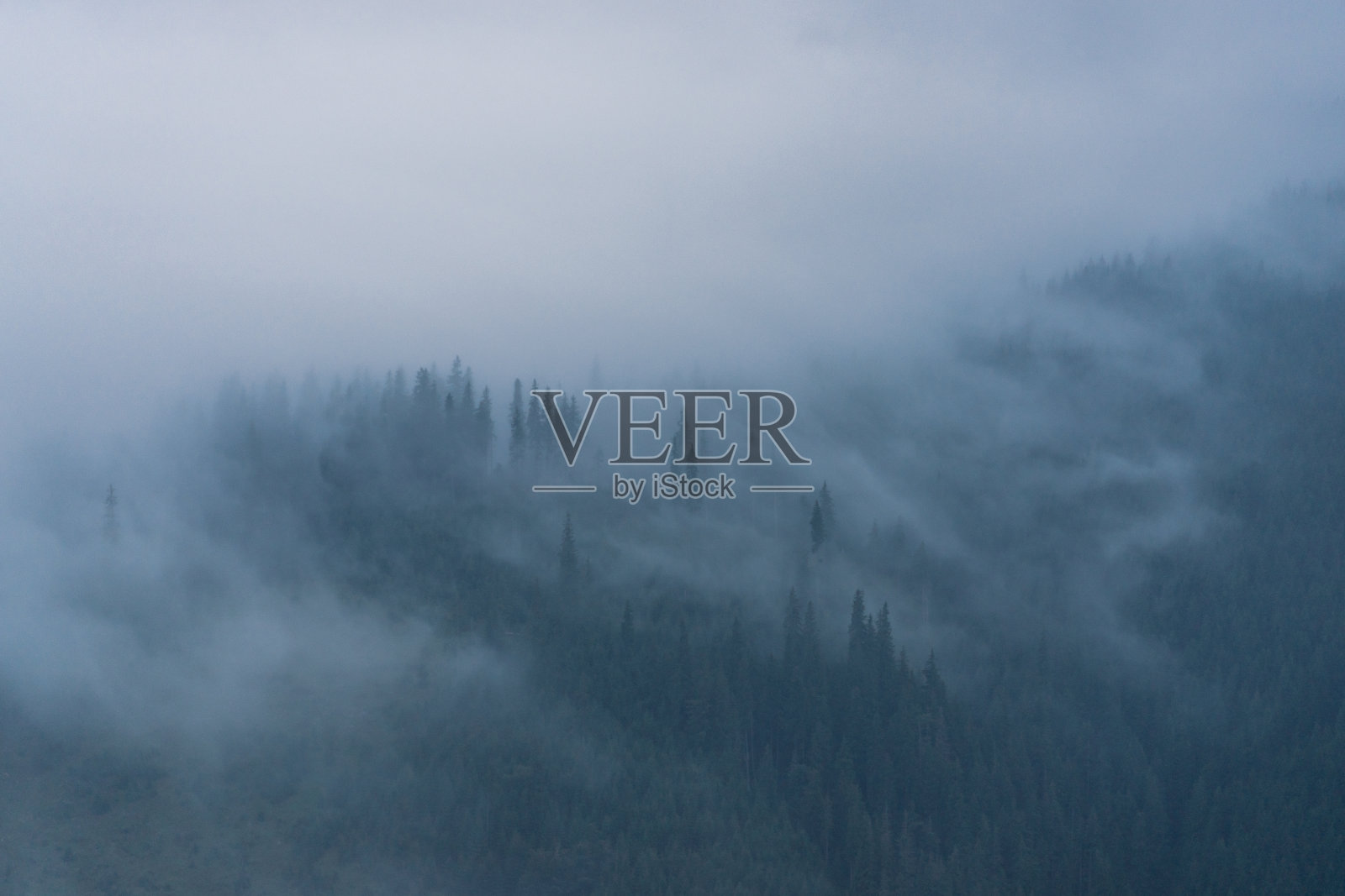 雾笼罩山林照片摄影图片