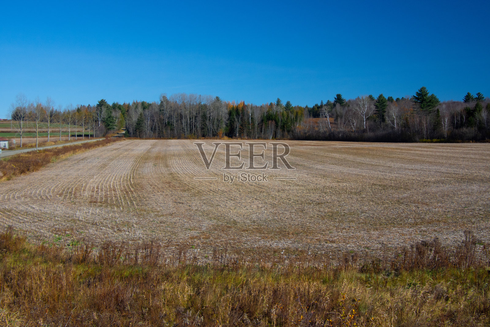 带农场的乡村景观照片摄影图片