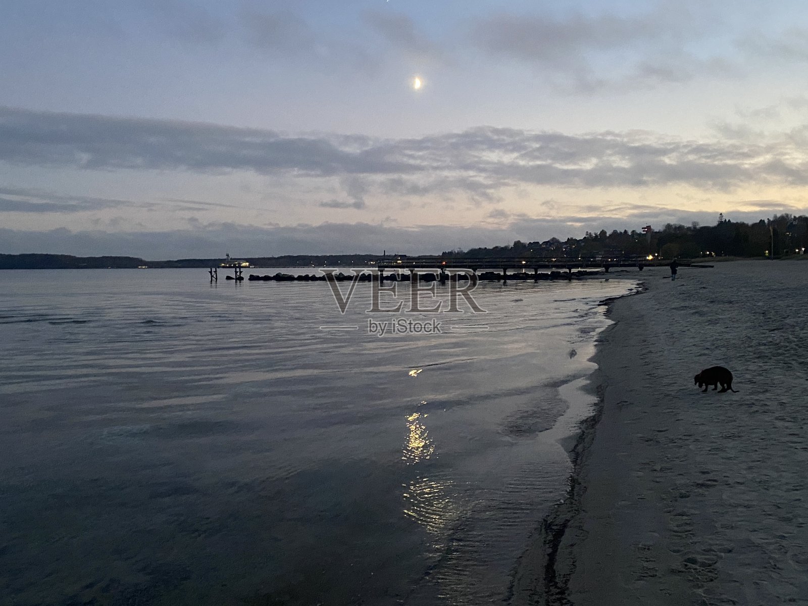 杜斯金在埃肯费尔德海滩 3照片摄影图片