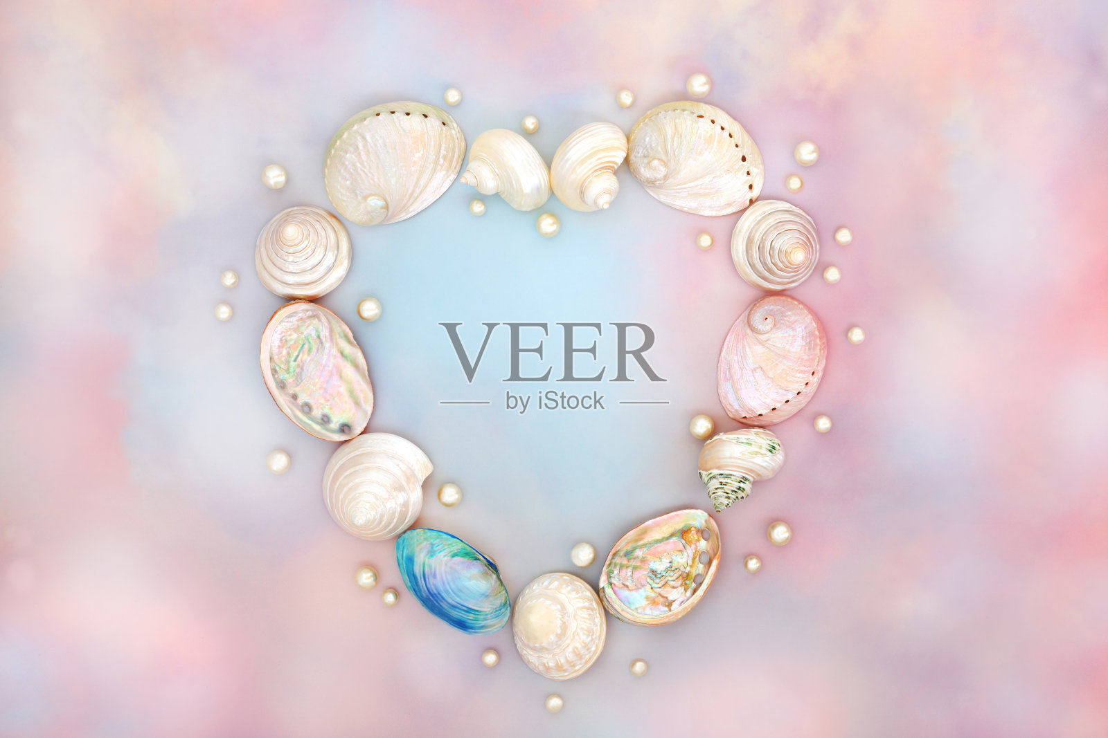 心形贝母贝壳花环照片摄影图片