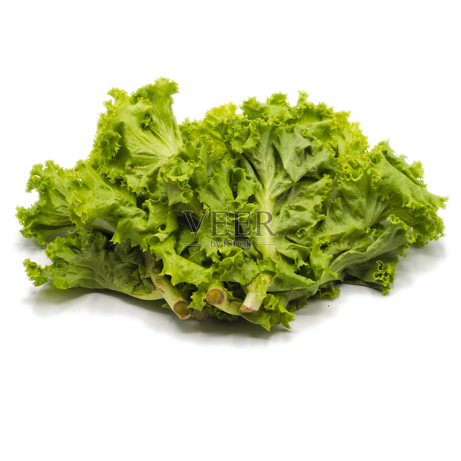 生菜照片摄影图片