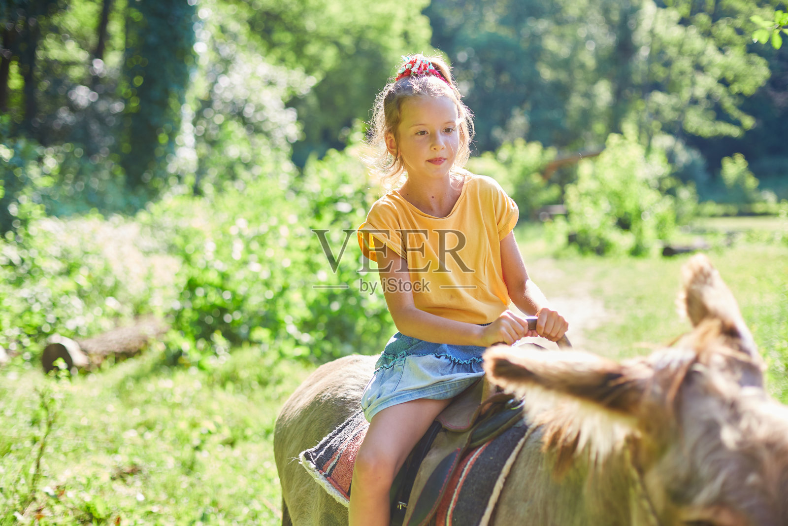 小女孩骑着驴在马鞍上，在联系农场动物园照片摄影图片