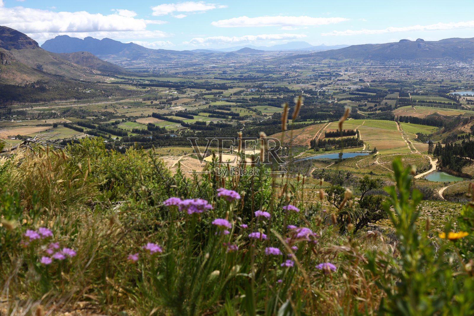 帕尔俯瞰桌山照片摄影图片