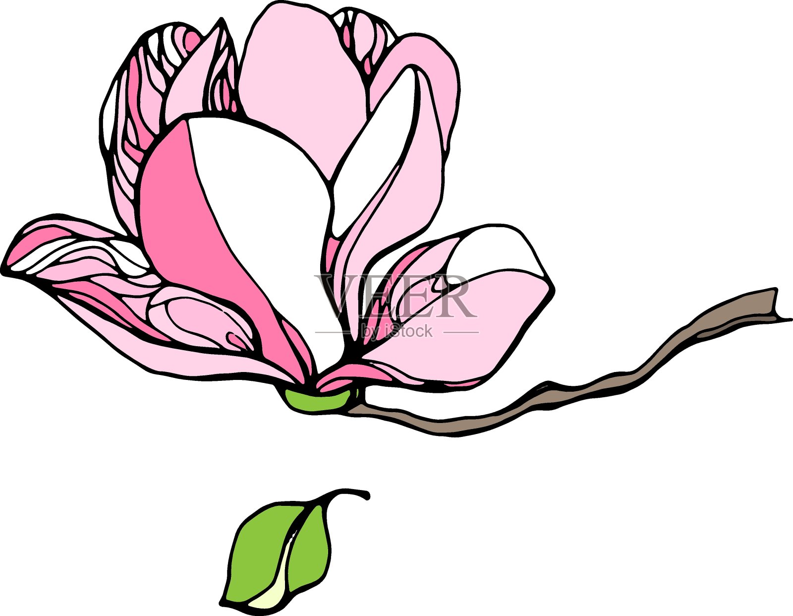 木兰花。手绘插图。向量的剪纸艺术插画图片素材