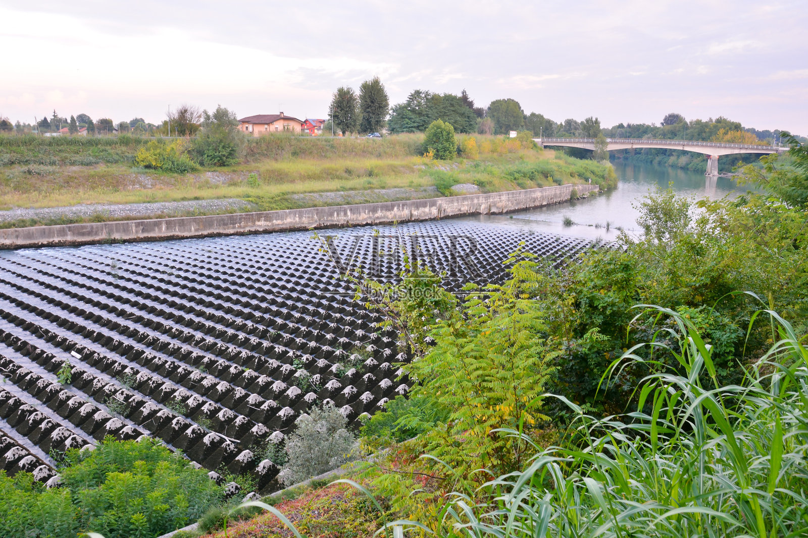 野生兰德河照片摄影图片