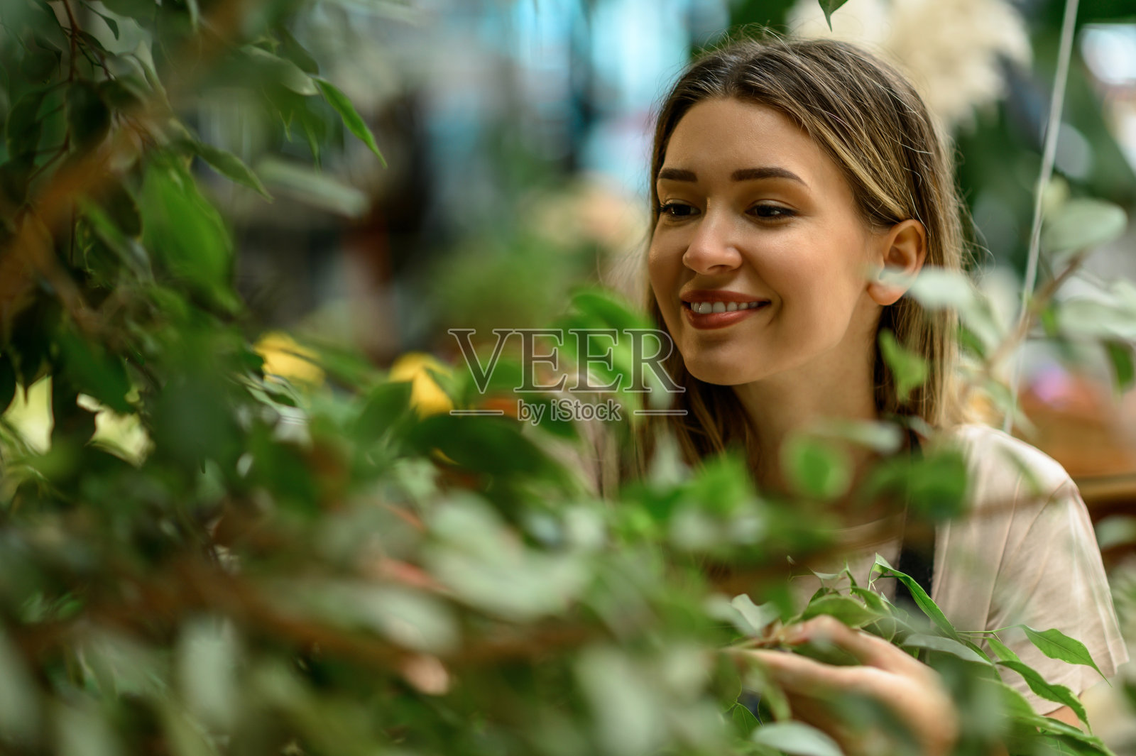 花匠一边用剪枝一边照顾植物照片摄影图片