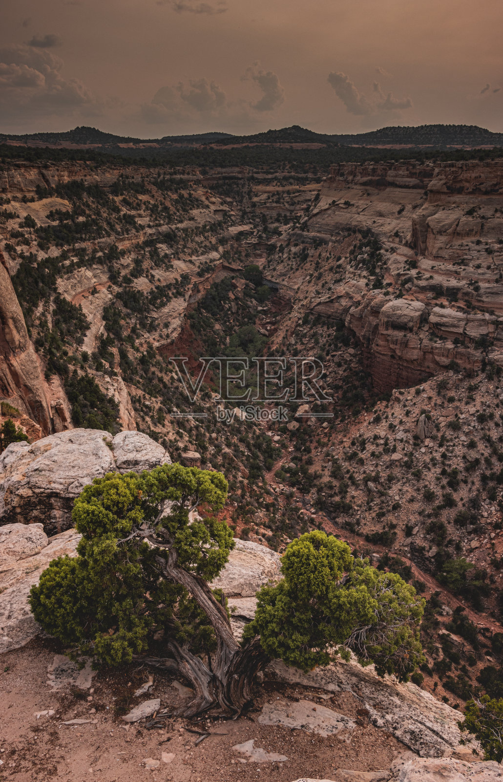 科罗拉多国家纪念碑公园的峡谷景观照片摄影图片