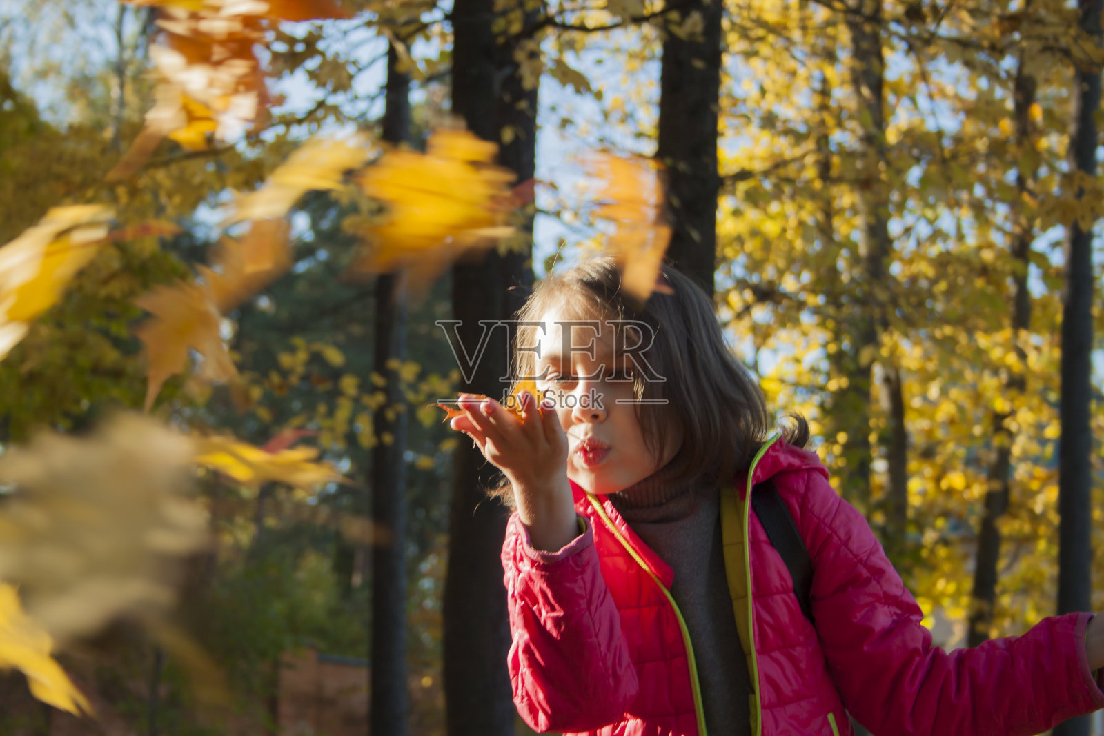 一个女孩在玩秋叶照片摄影图片