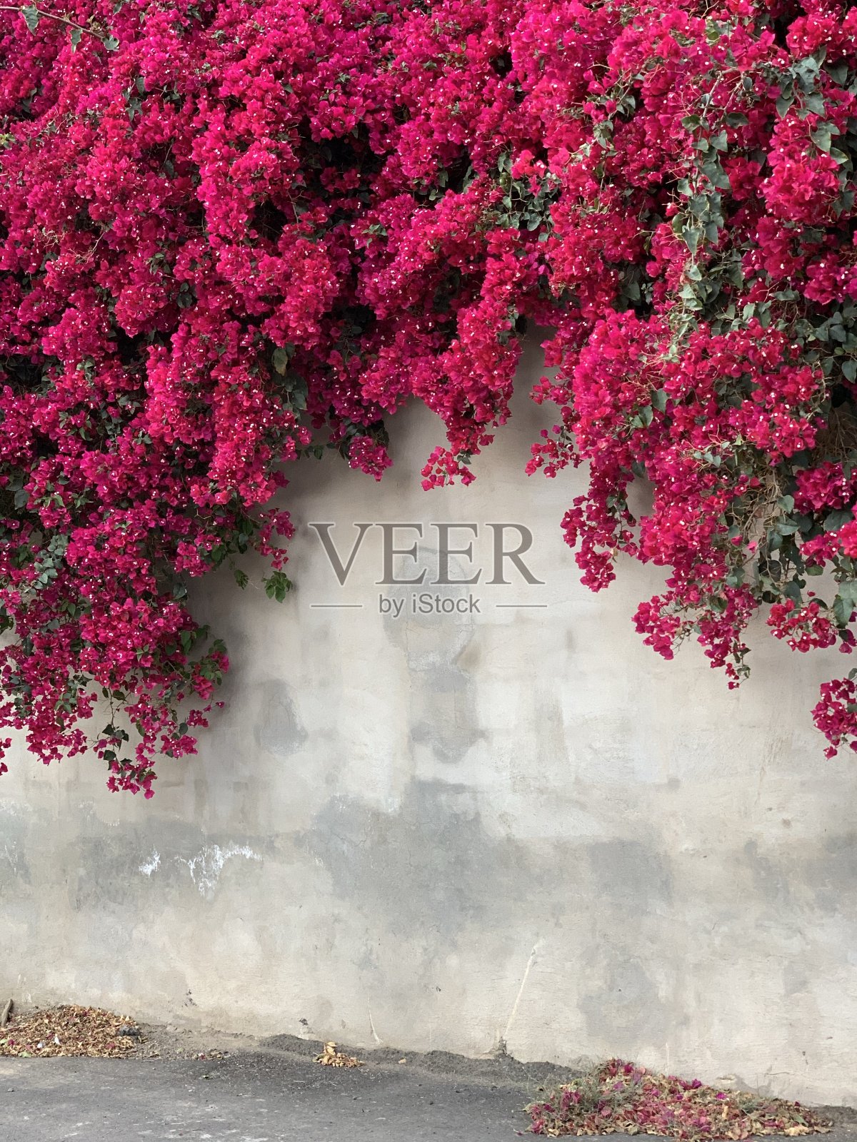 惊艳照片摄影图片