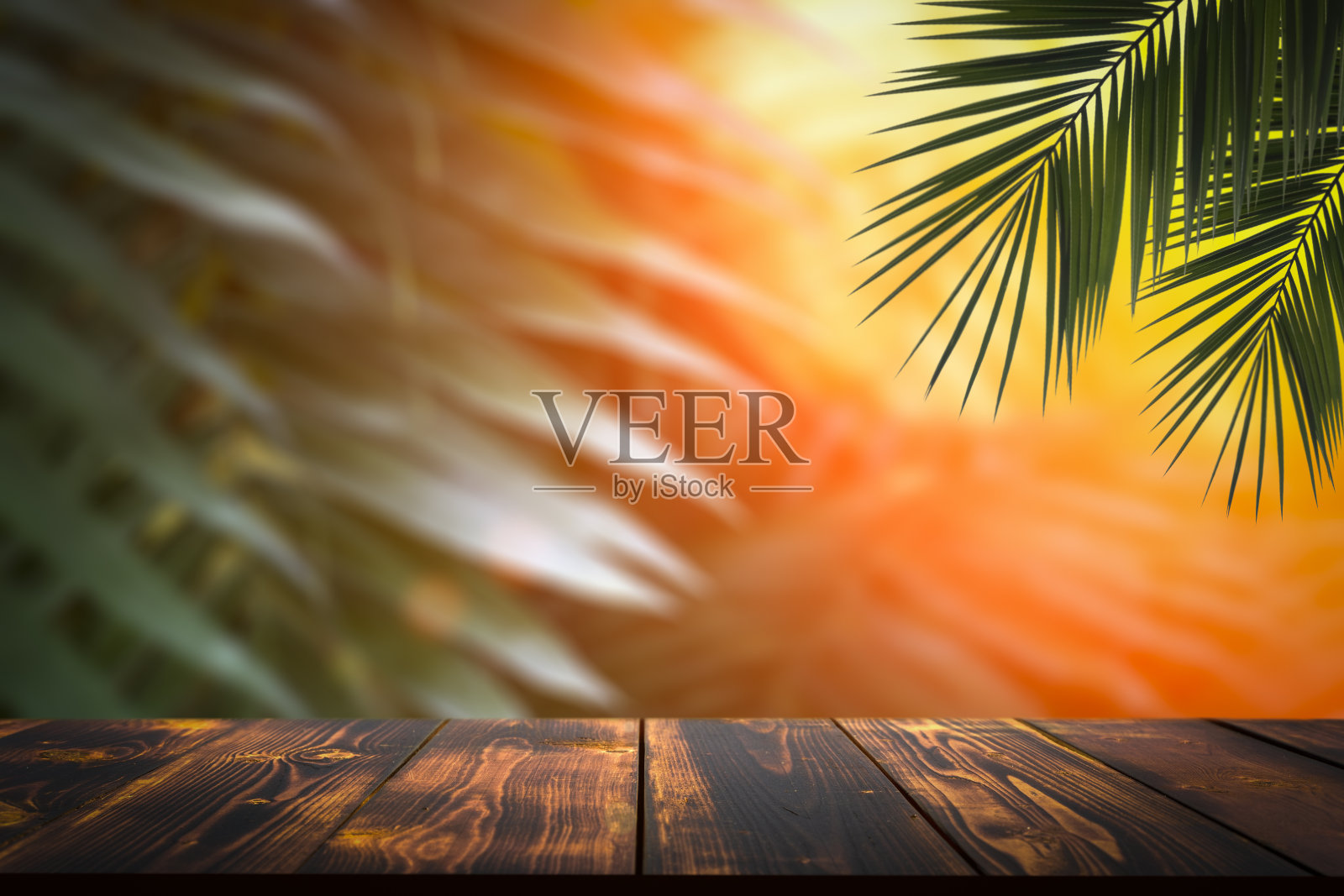 丛林表背景。在热带植物、棕榈树和丛林的背景下，为化妆品项目的室内桌子。照片摄影图片