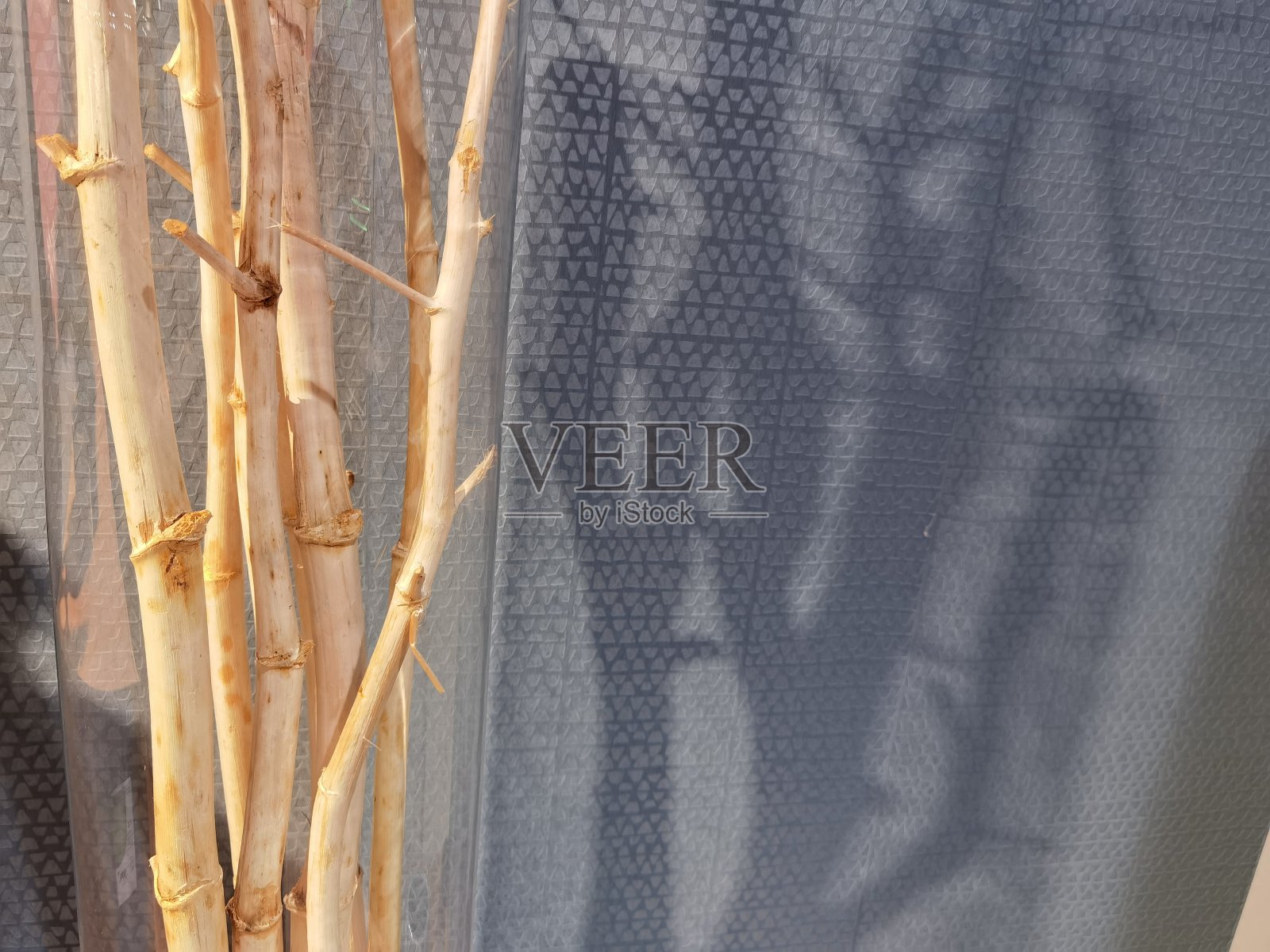 灰色背景的玻璃上的树枝和它们的影子照片摄影图片