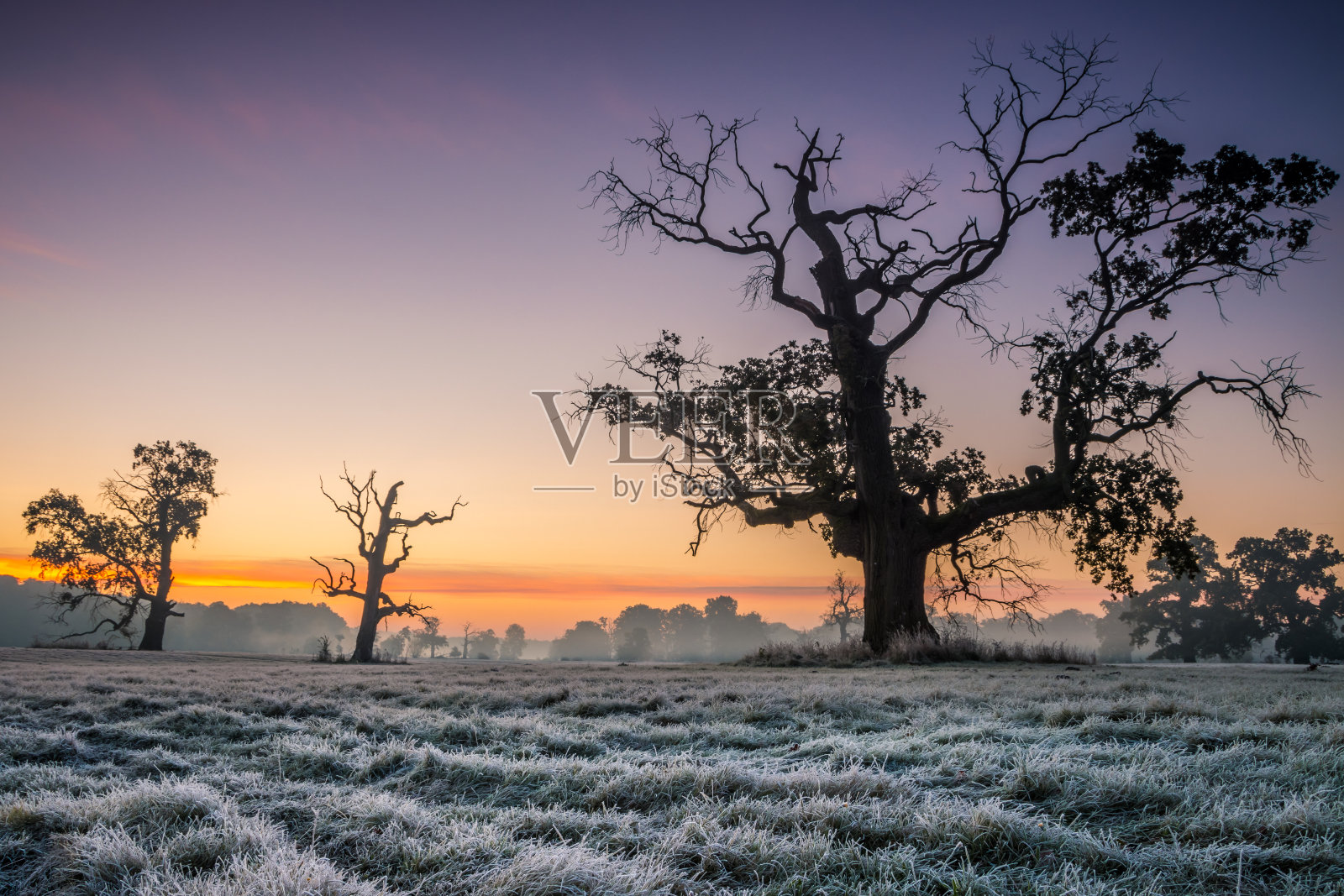 赛场上的日出照片摄影图片