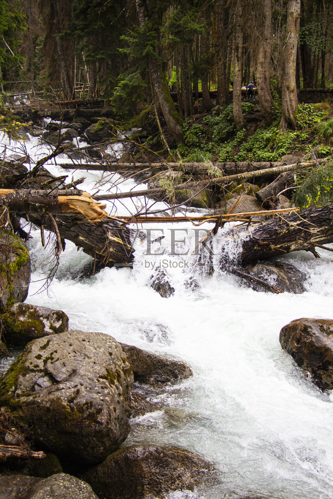清澈的山间河流中的水流。环境保护。照片摄影图片