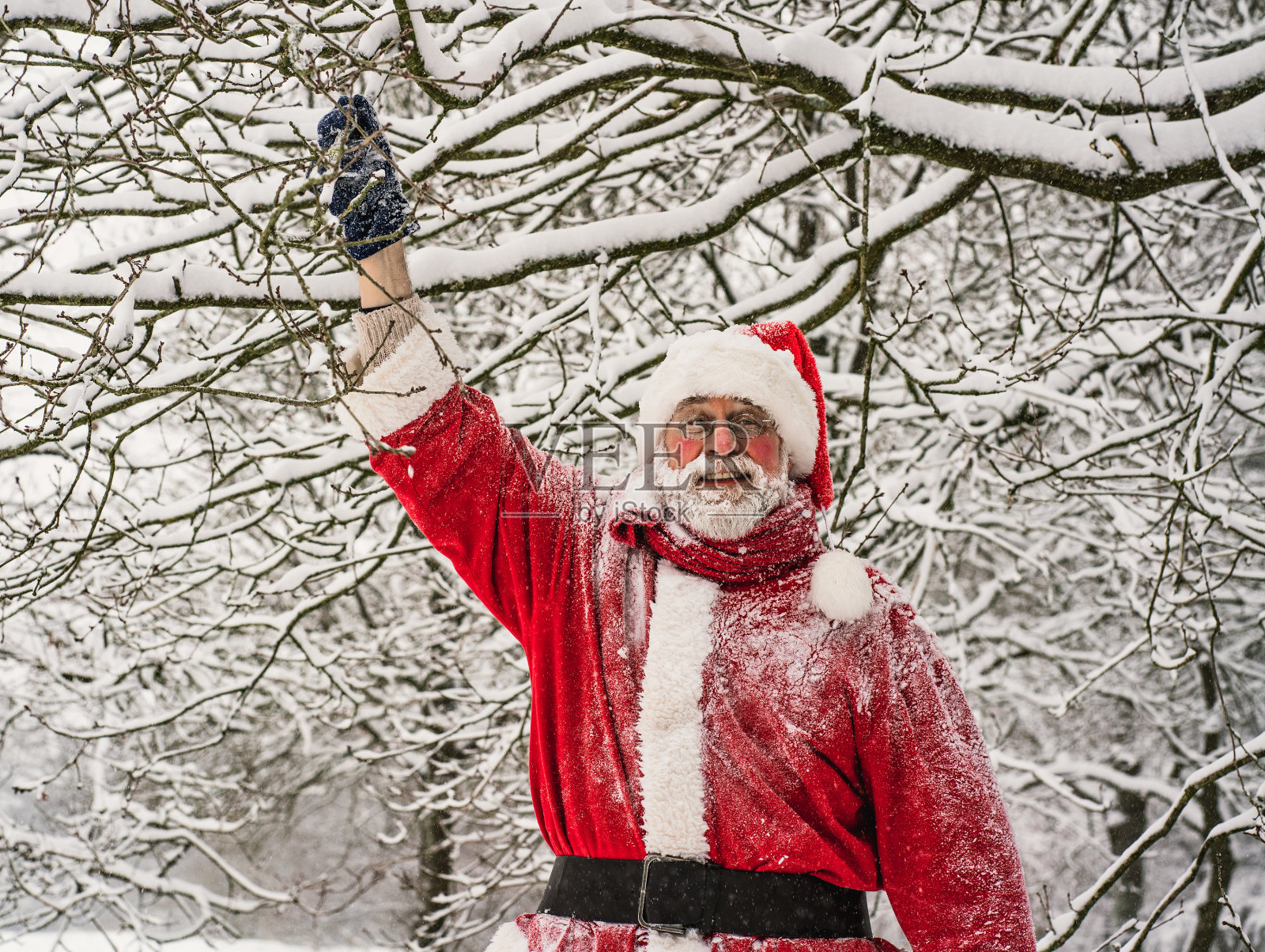 快乐的圣诞老人的背景图案是白雪覆盖的树枝。照片摄影图片