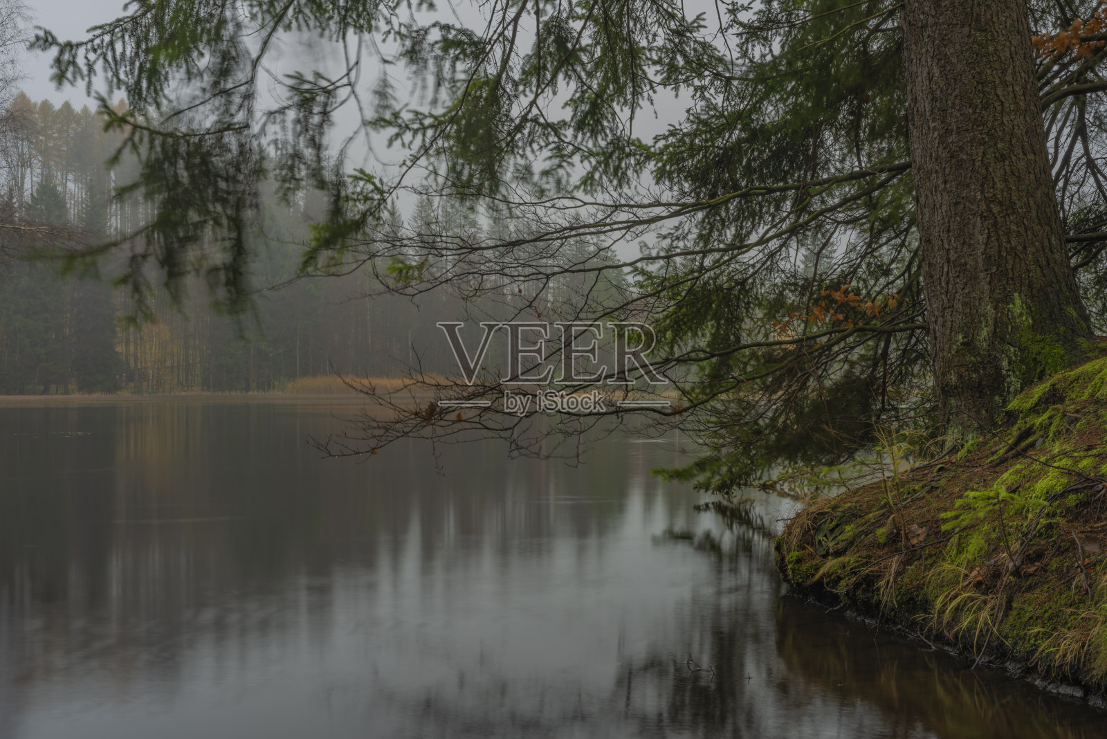 鲁齐克山上的Hranicni池塘在秋色潮湿的早晨照片摄影图片