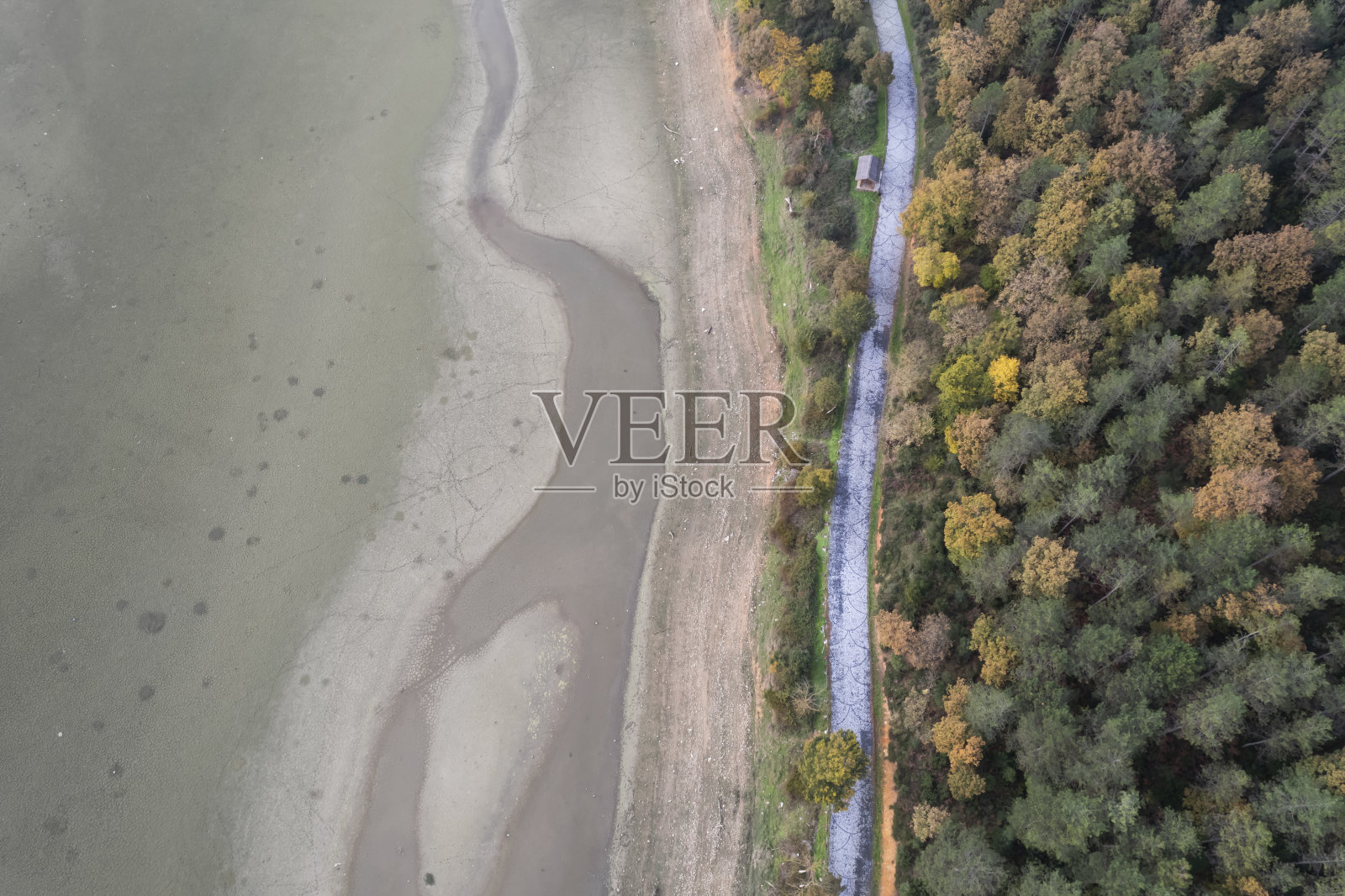 弄脏了森林附近一个干涸的湖。生态问题照片摄影图片