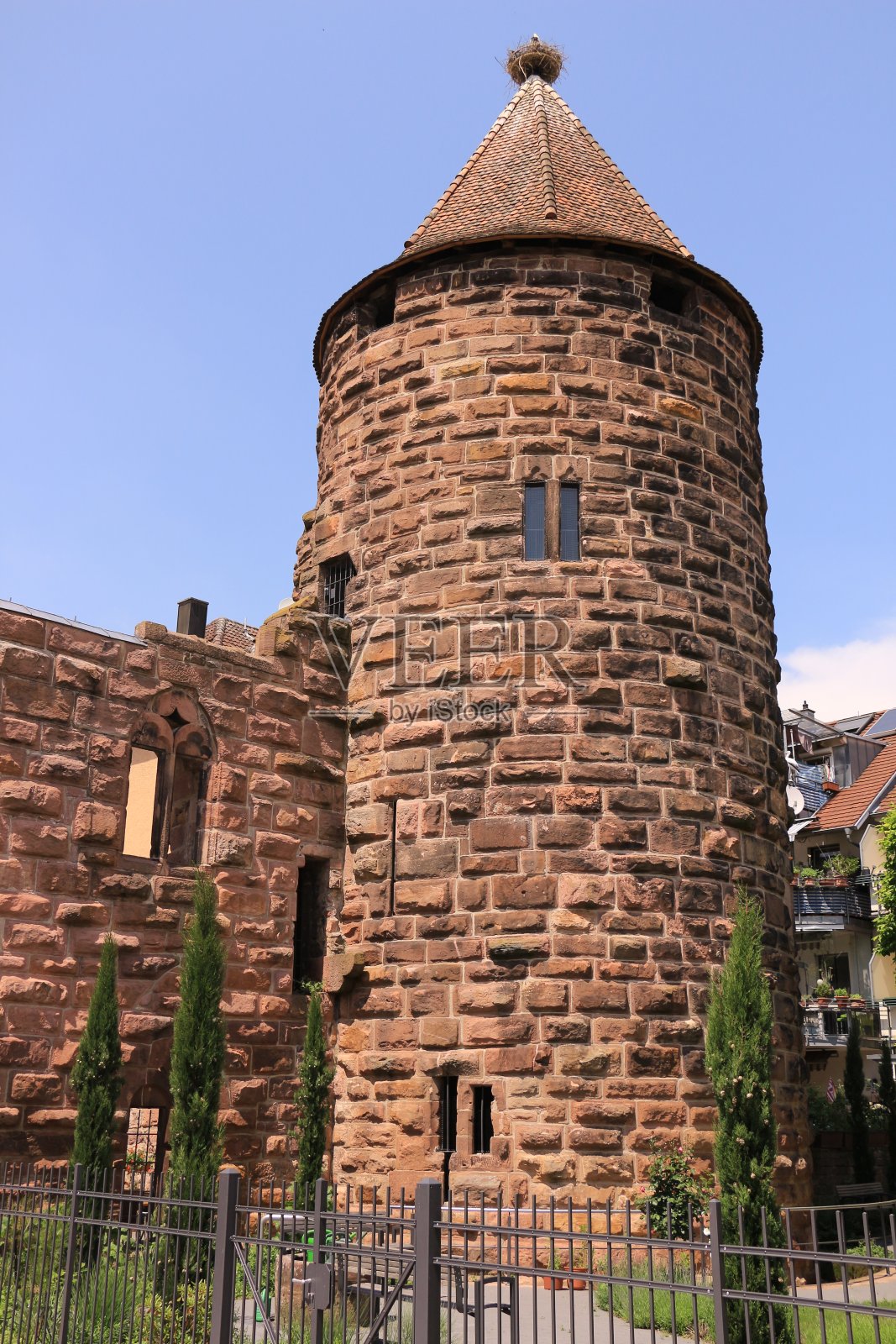 阳光明媚的夏日，拉尔市中心的黑森林照片摄影图片