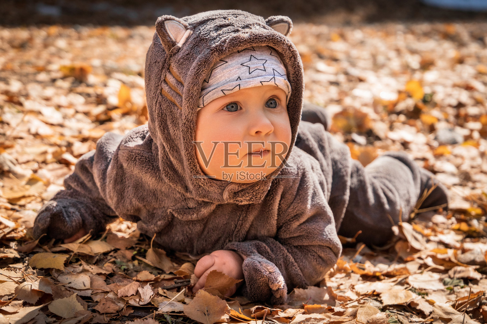 小男孩在黄色的树叶里玩耍。秋天在城市公园照片摄影图片