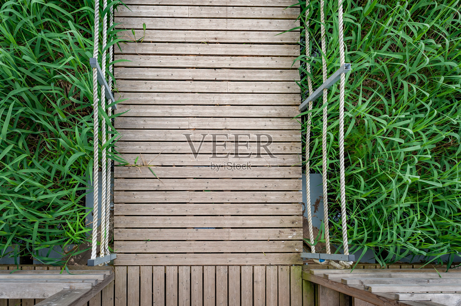 俯瞰长满杂草的湖之间的木径。照片摄影图片