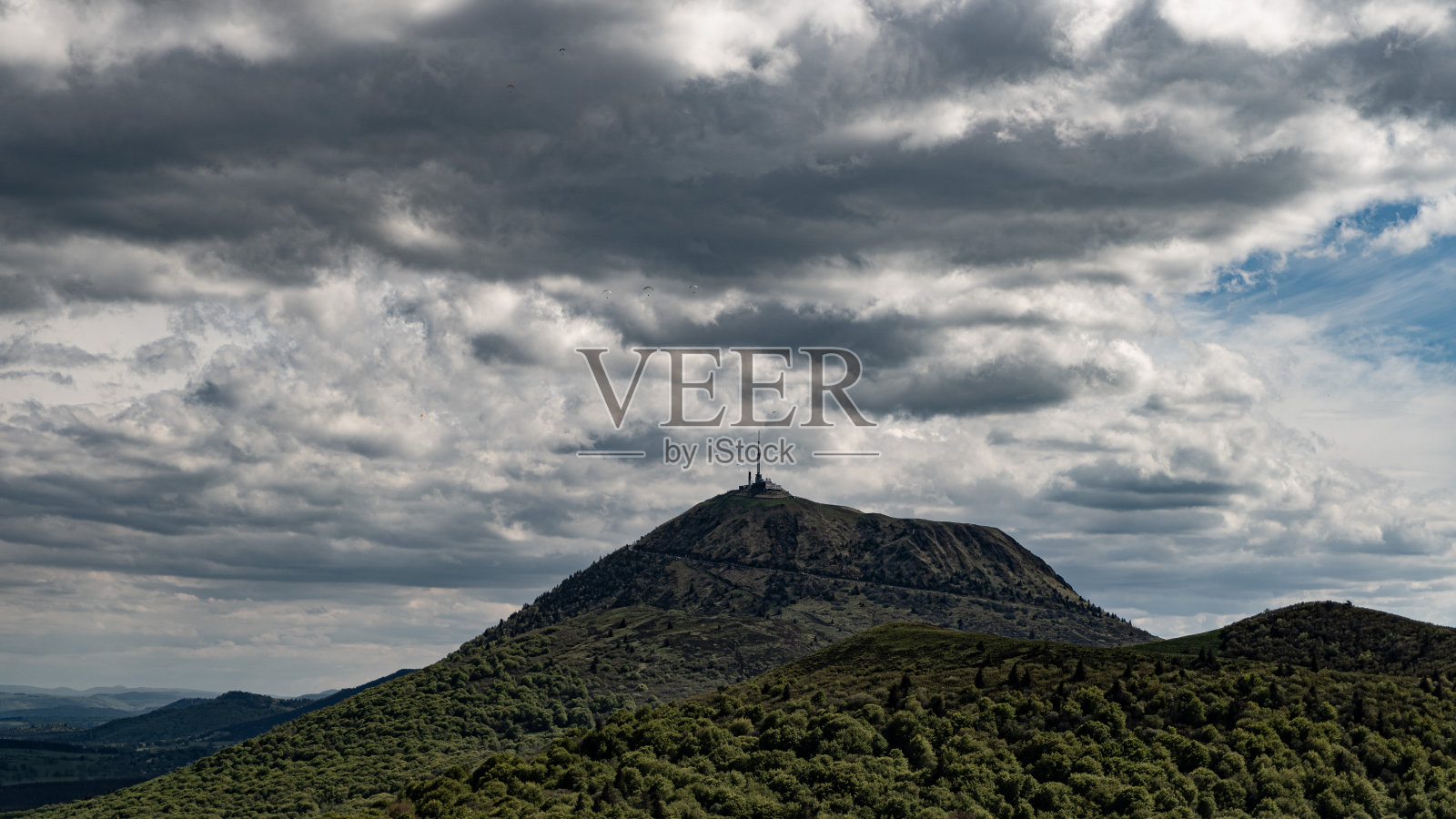 圆顶年幼的狗照片摄影图片