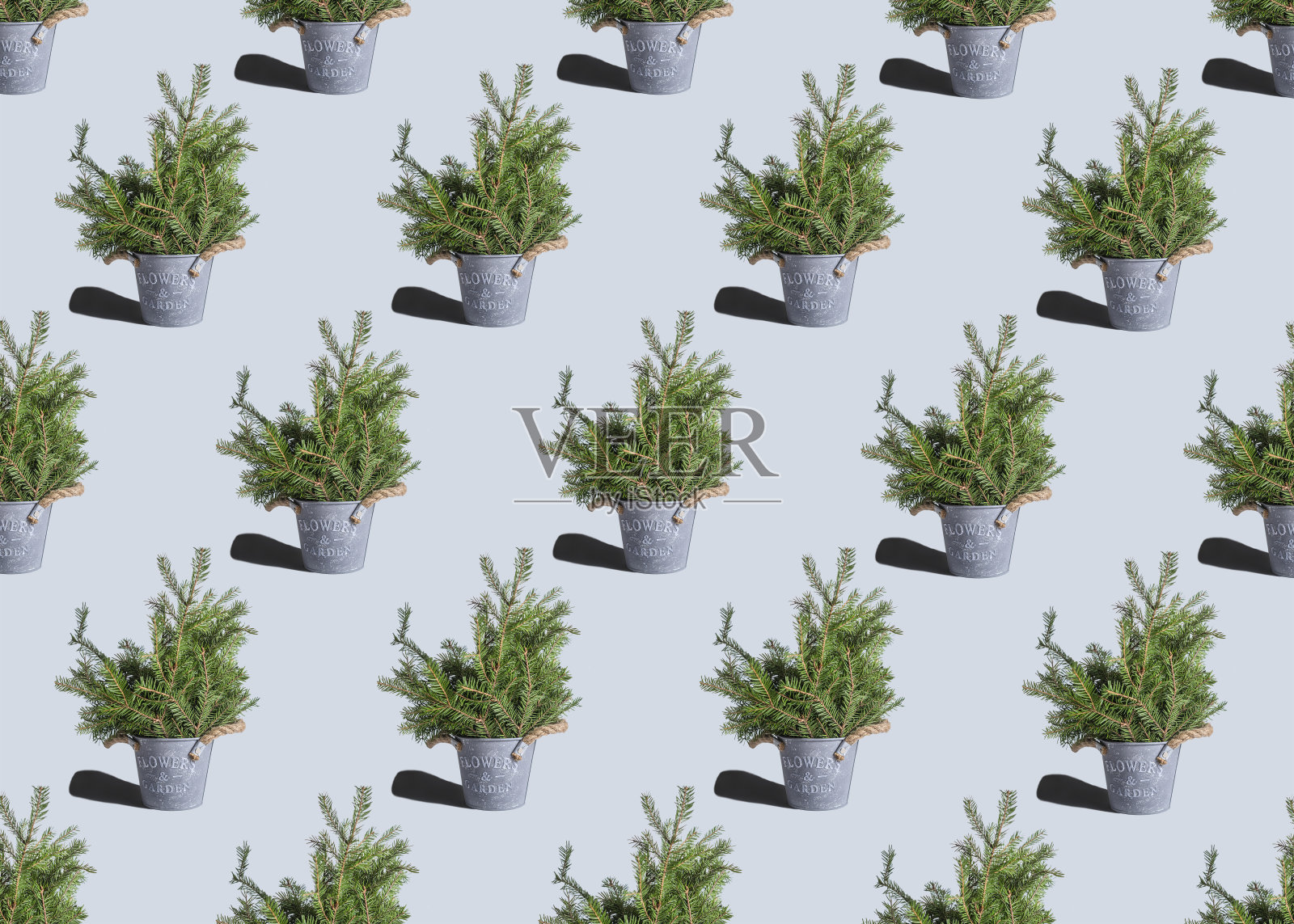 在浅蓝色背景上的圣诞树图案照片摄影图片