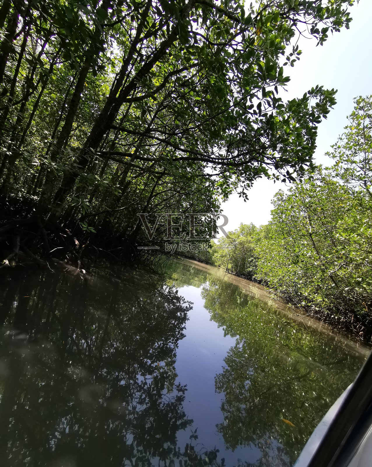 海照片摄影图片