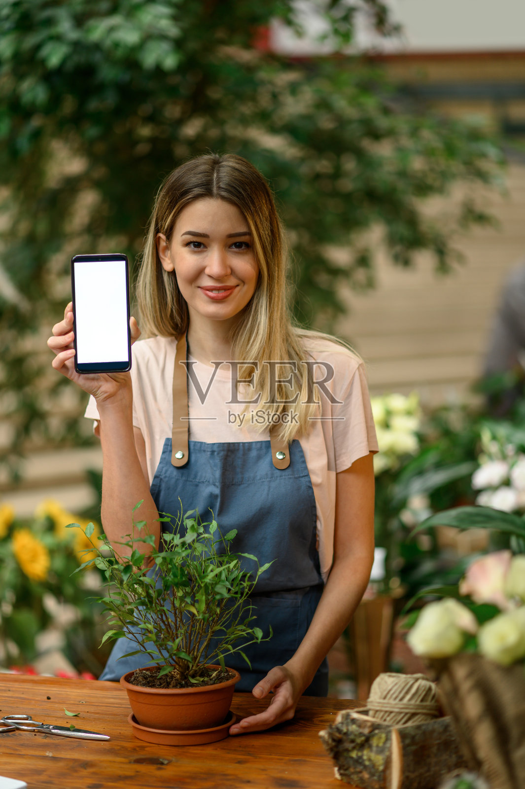 女花商在花店工作，并显示智能手机屏幕照片摄影图片