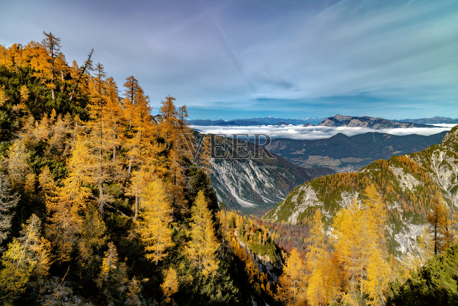 从斯莱姆山，戈兰尼斯卡，朱利安阿尔卑斯山，斯洛文尼亚，欧洲，透过橙色落叶松看奥地利阿尔卑斯山照片摄影图片