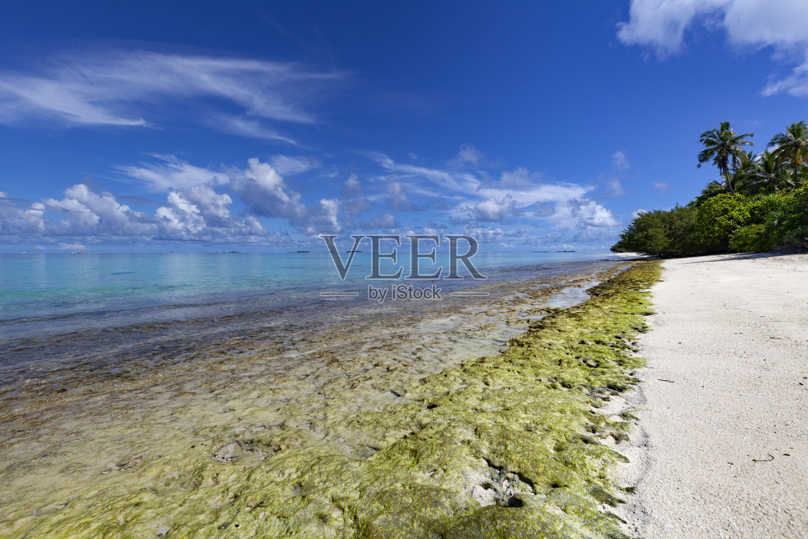 热带海滩,马尔代夫照片摄影图片