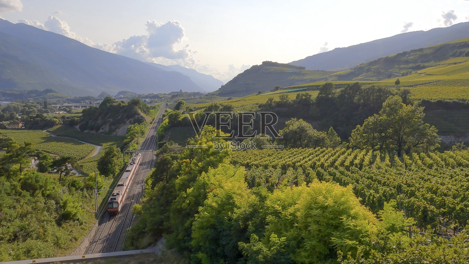 火车驶过郁郁葱葱的葡萄园的风景照片摄影图片