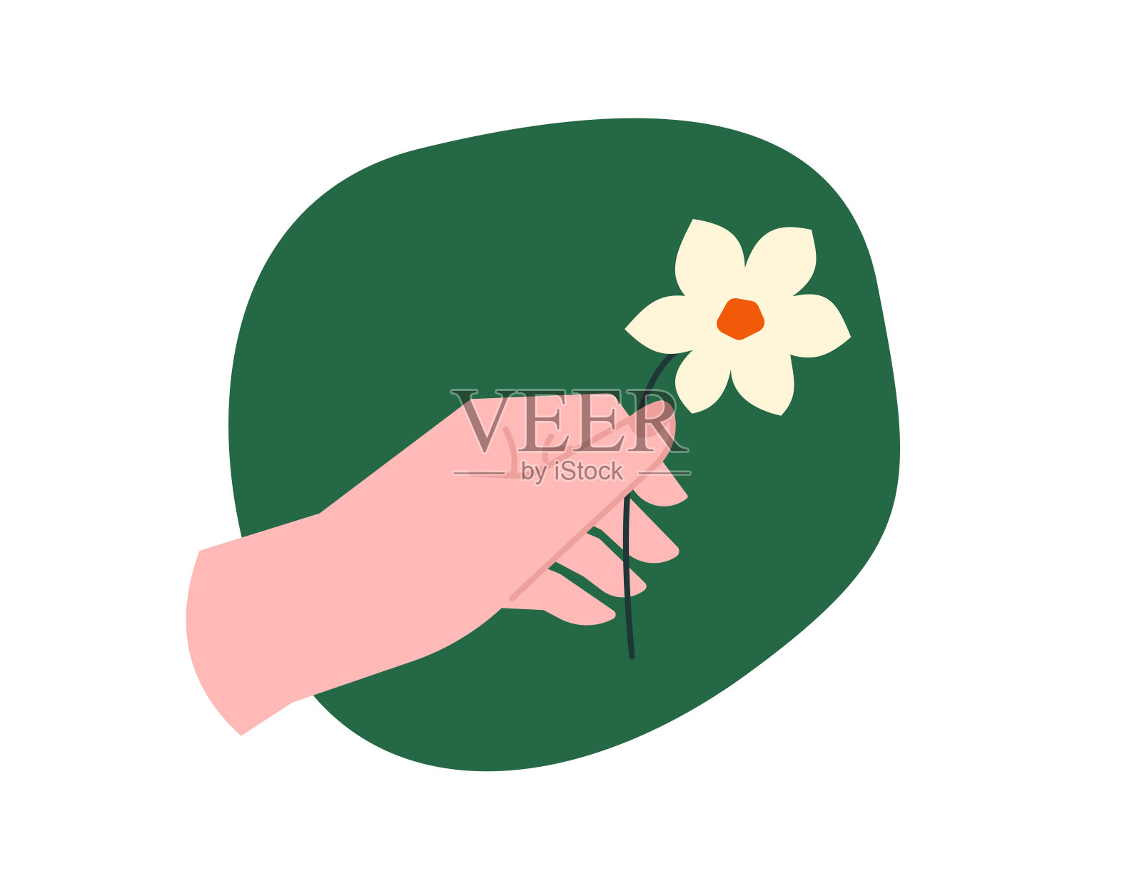 女人的手，轻轻地捧着一朵花。简单的平面插图，自然的美丽和优雅的礼物。水仙花，黄色花瓣，简单的花束。插画图片素材