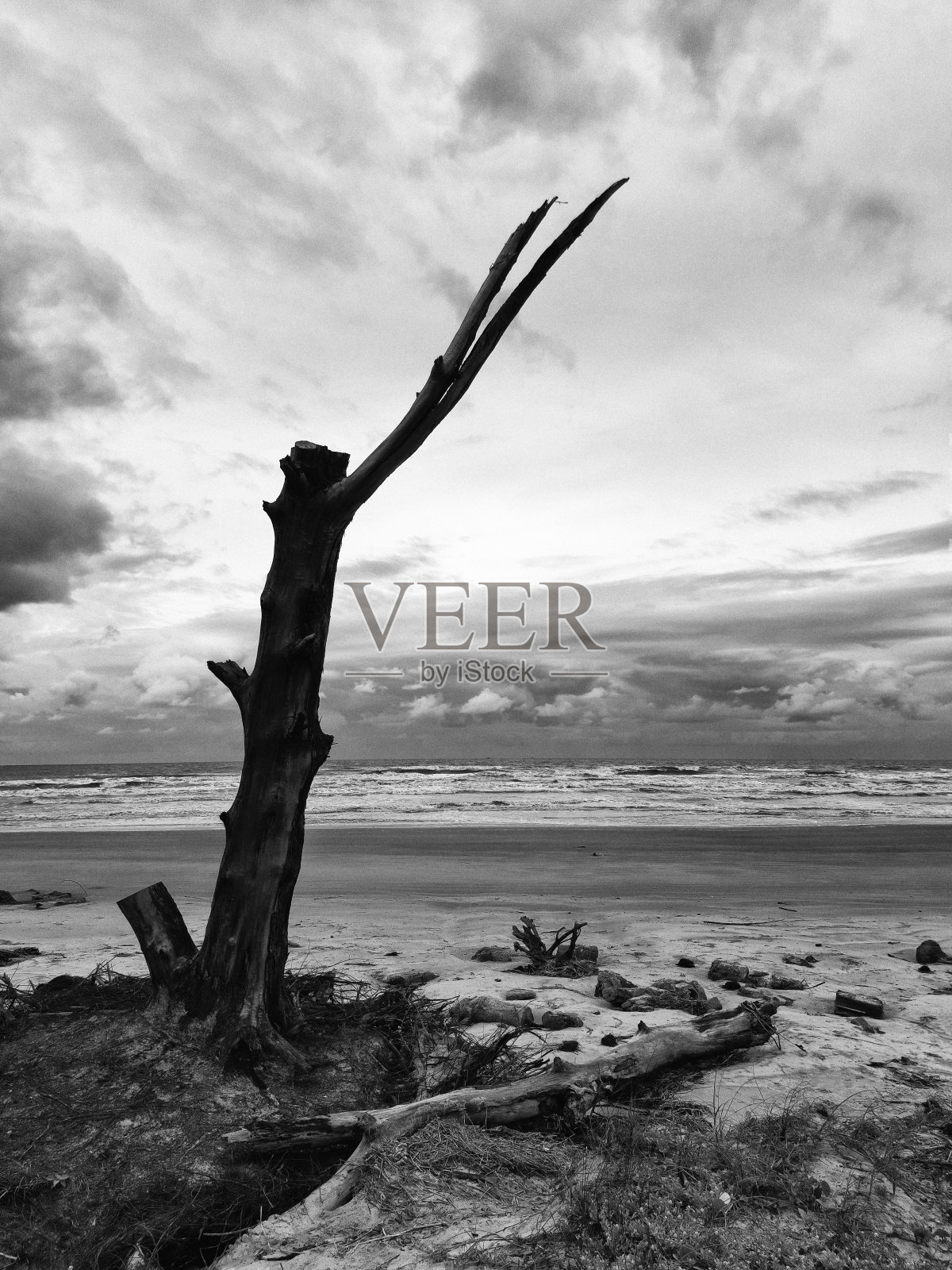 长岛照片摄影图片