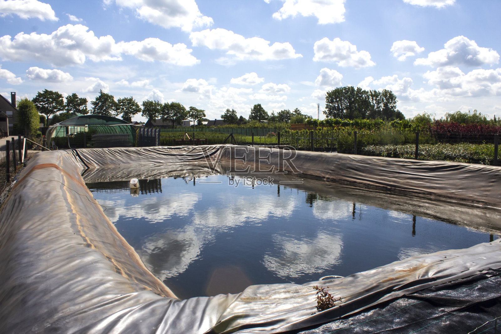 育种盆地照片摄影图片