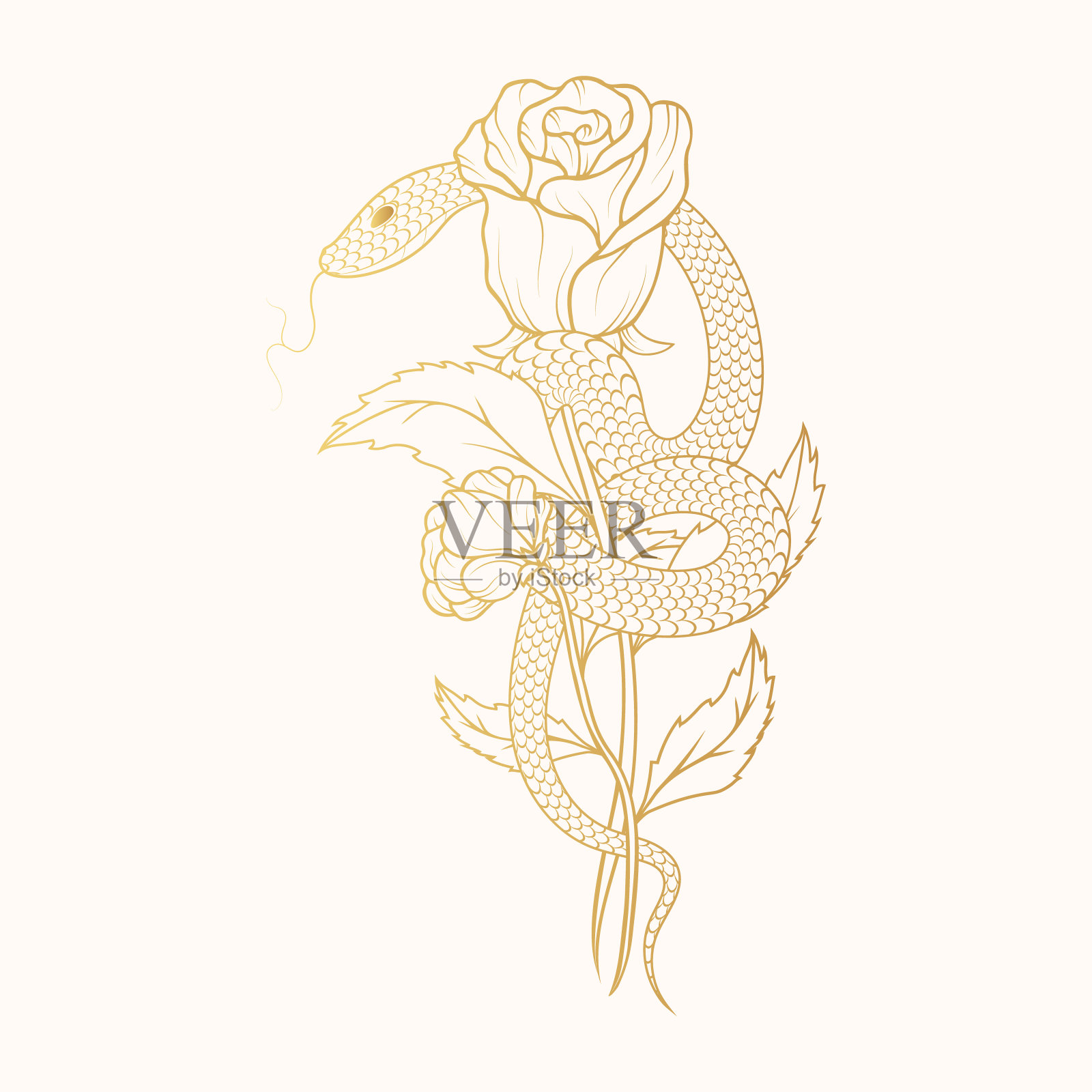 手绘的金蛇缠绕着一朵玫瑰。金色的花矢量插图在封面，t恤设计，织物，笔记本和卡片的复古风格。插画图片素材