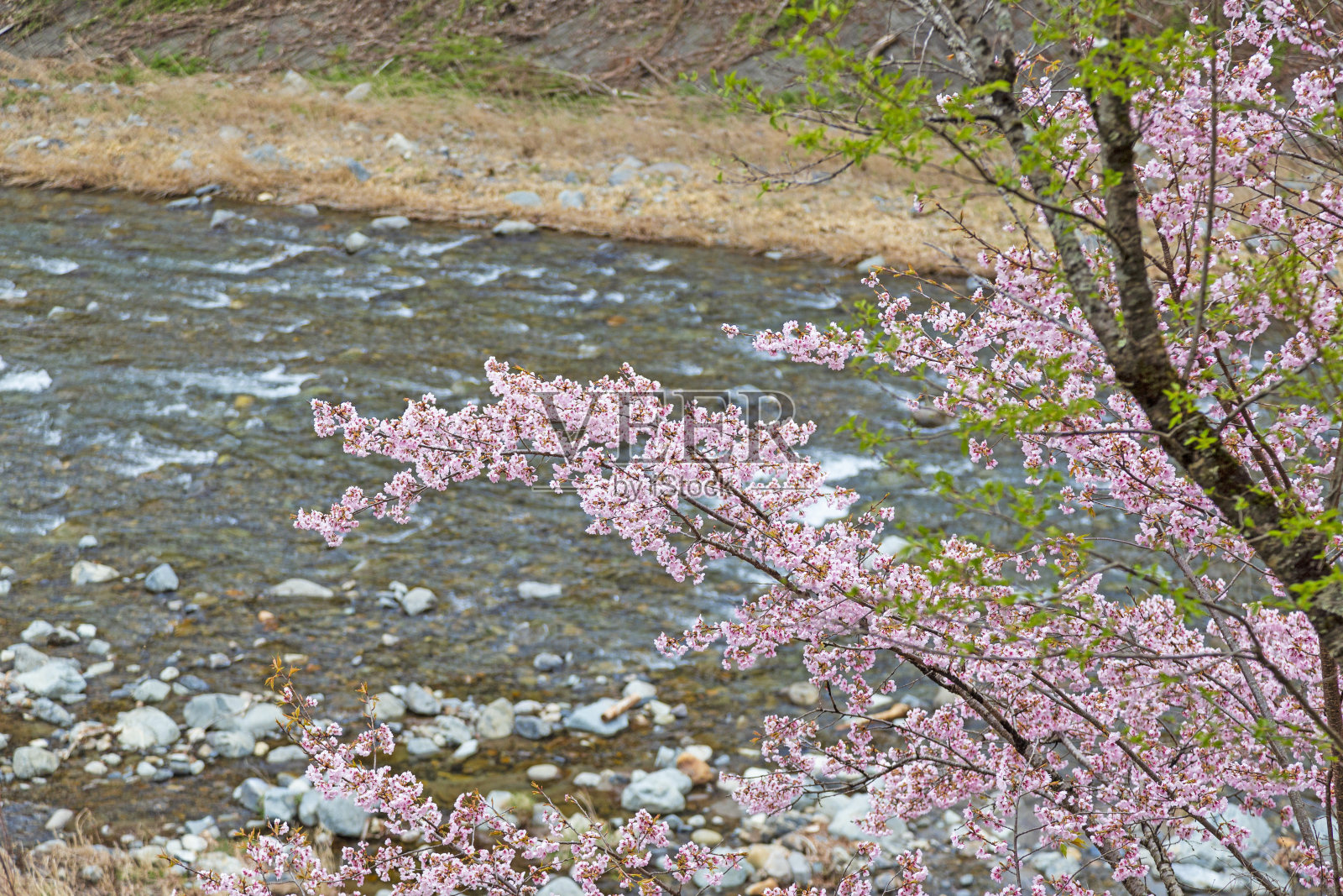 日本中部山梨县的山山村春天公共停车场。照片摄影图片