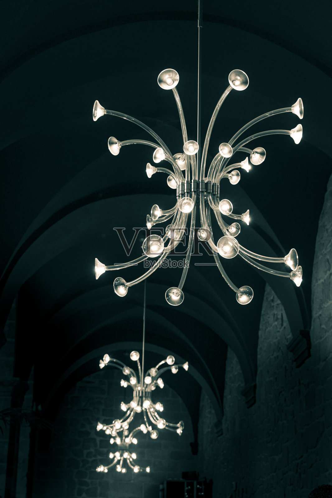 白紫照片摄影图片