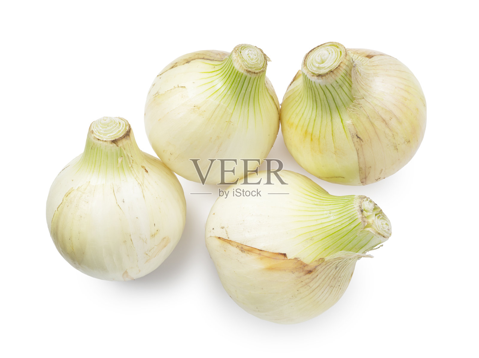 白色背景上的四个新洋葱。照片摄影图片