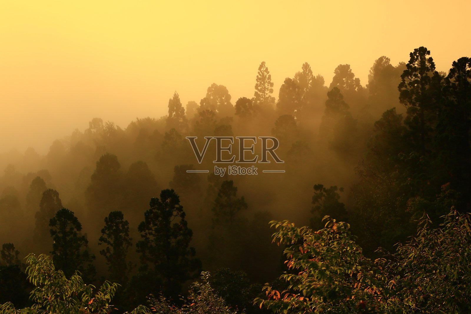 风景的黎明照片摄影图片