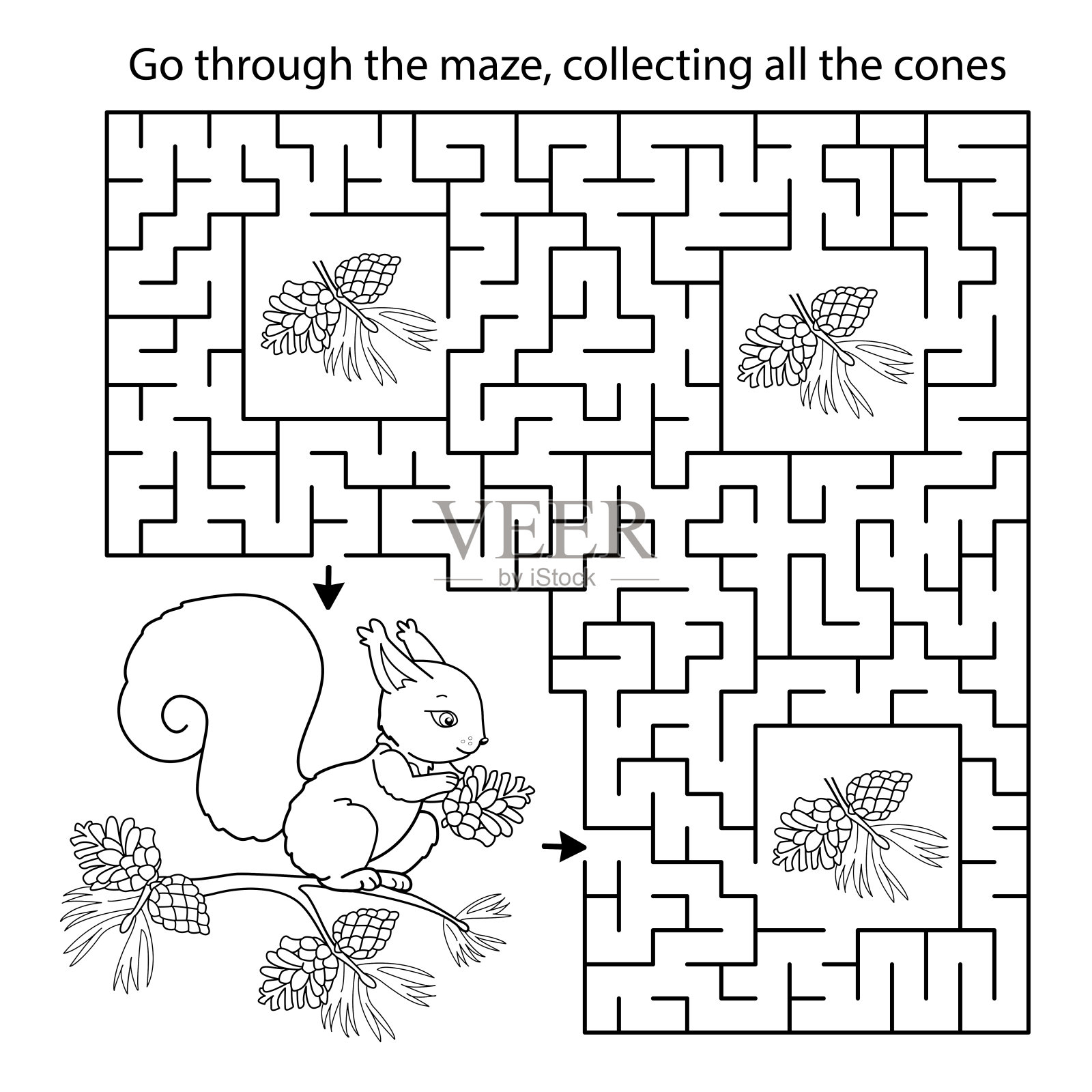 迷宫或迷宫游戏。谜题。彩色页大纲的卡通松鼠与冷杉球果。儿童涂色本。插画图片素材