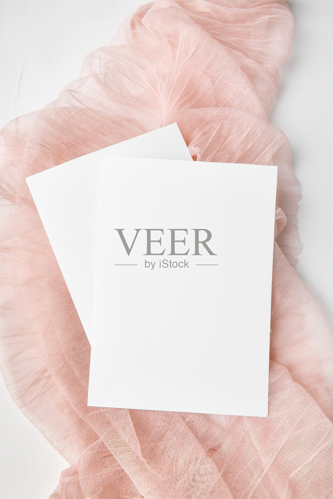 两张白色请柬模型玫瑰精致纱布5x7照片摄影图片