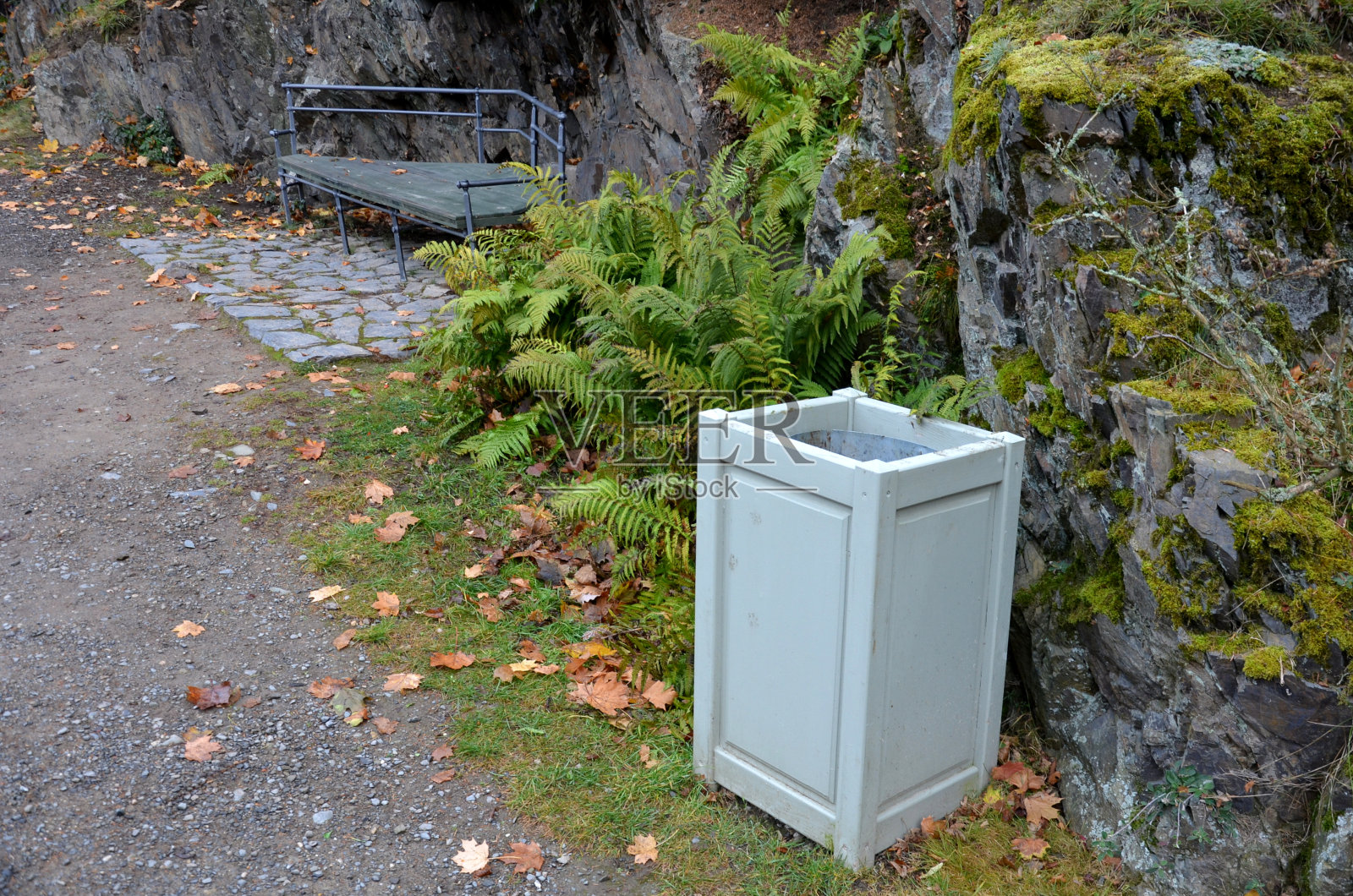 用水平木板砌成的花园房子。在绿色屋顶和攀缘植物和蕨类植物的顶部。浅蓝色的长椅和木制垃圾桶在公园，花园桑拿，花园棚子隐藏照片摄影图片