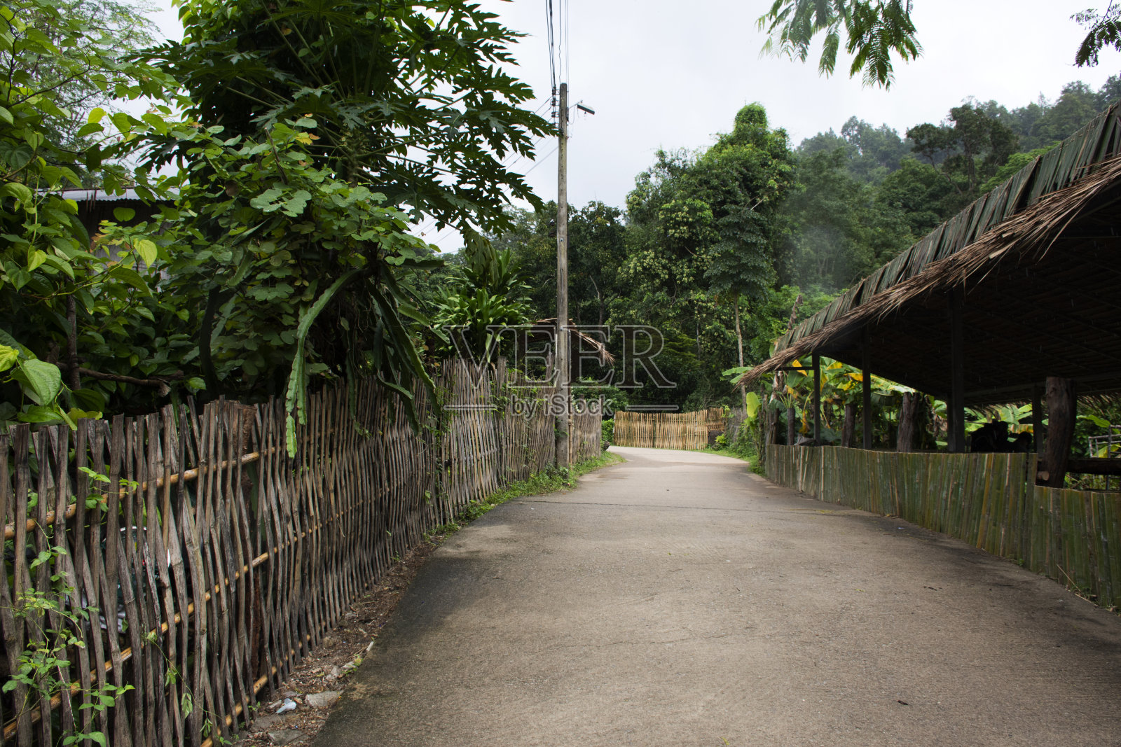 泰国Ratchaburi的Suan Phueng地区的Baan Huay Nam Sai村山谷小山乡村照片摄影图片