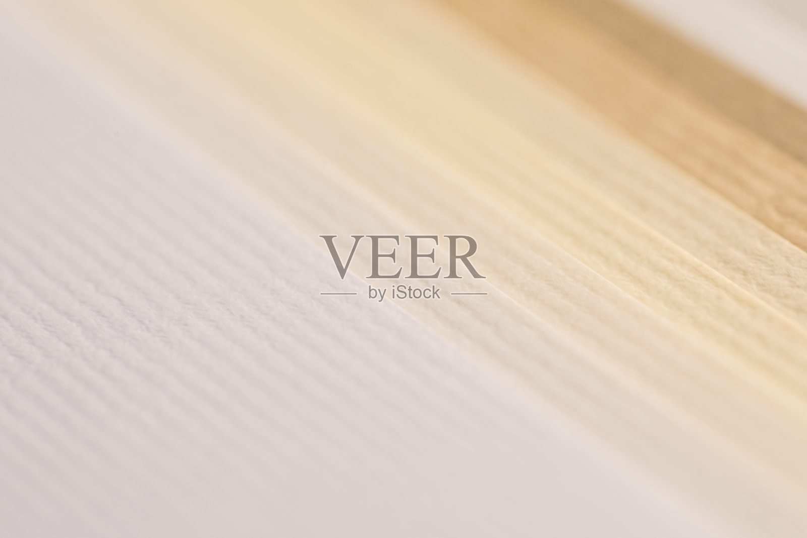 样品米色纸张照片摄影图片