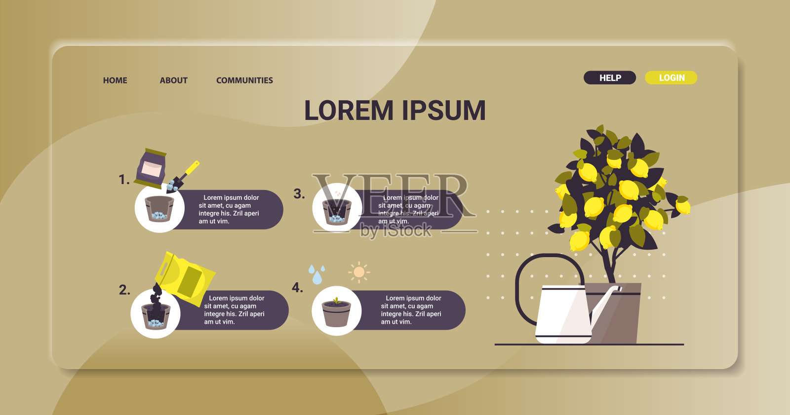 盆栽柠檬植物种植果树在盆园工作耕作信息图表种植过程的概念插画图片素材