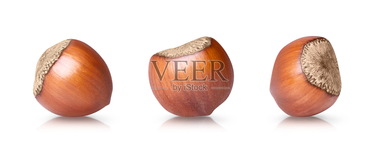 在白色背景上孤立的榛子。照片摄影图片