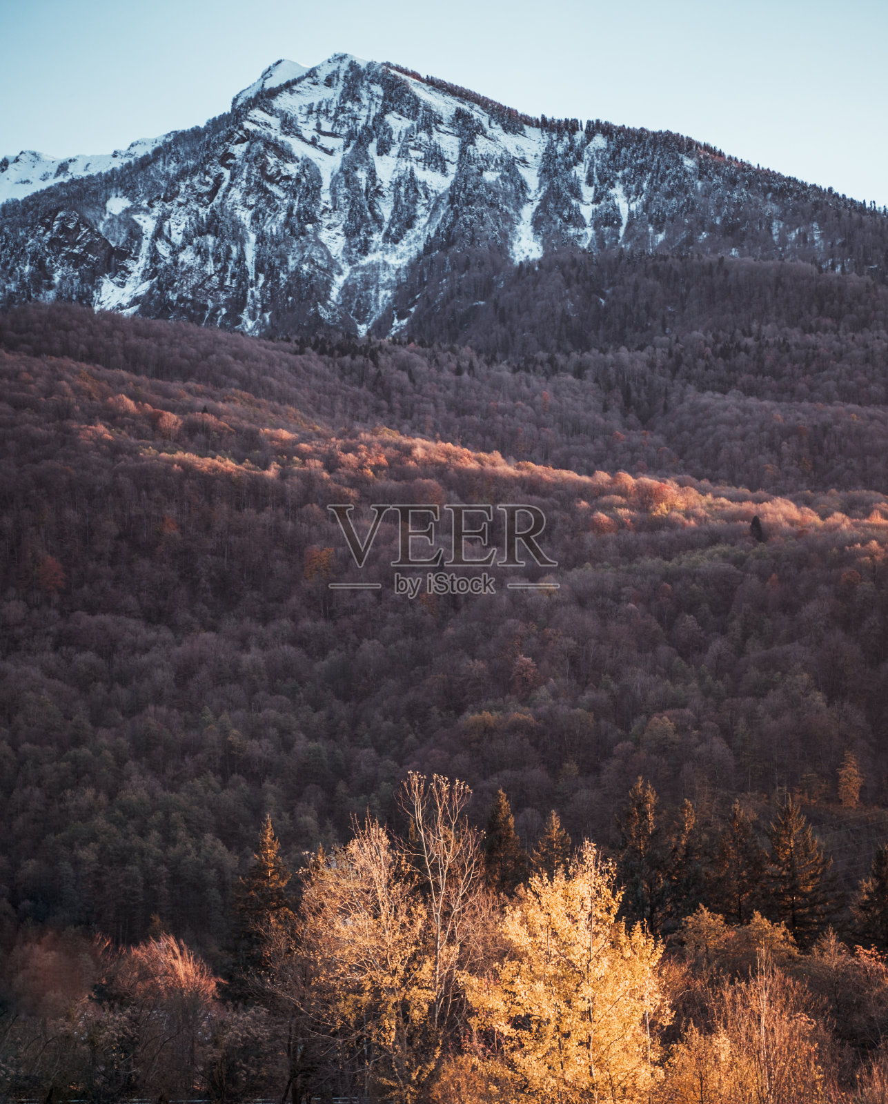 美丽的风景通过秋天的森林到高山的雪景。从秋天到冬天的过渡。照片摄影图片