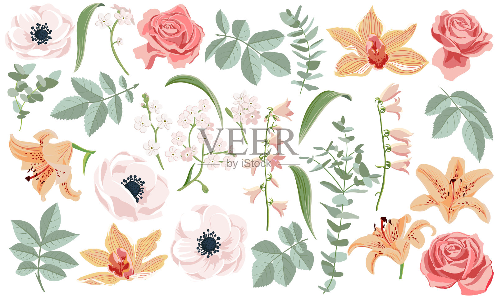 向量的集合插画图片素材