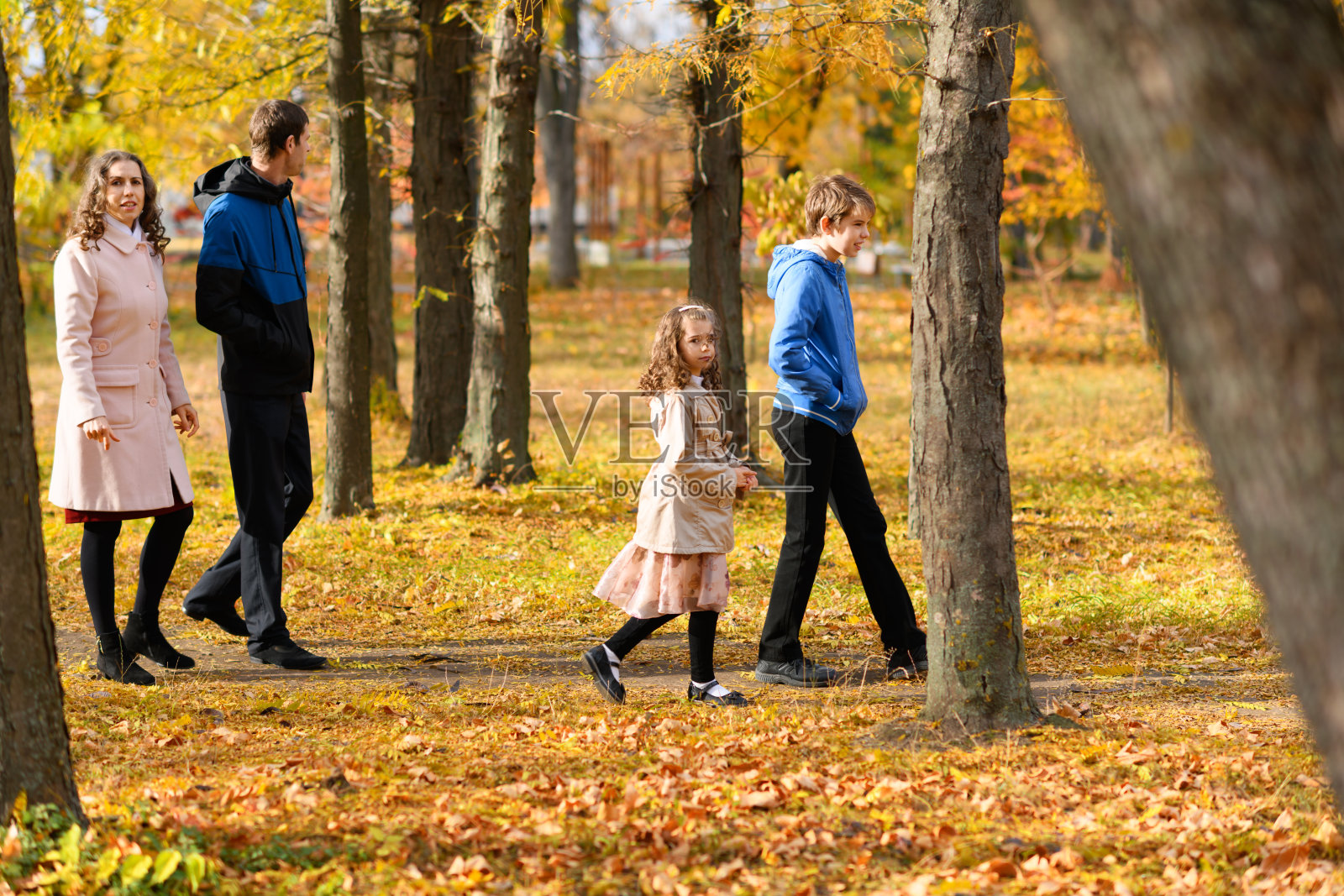 一家人沿着小路在秋天的公园里散步。美丽的大自然和黄色的树叶。明亮的阳光。照片摄影图片